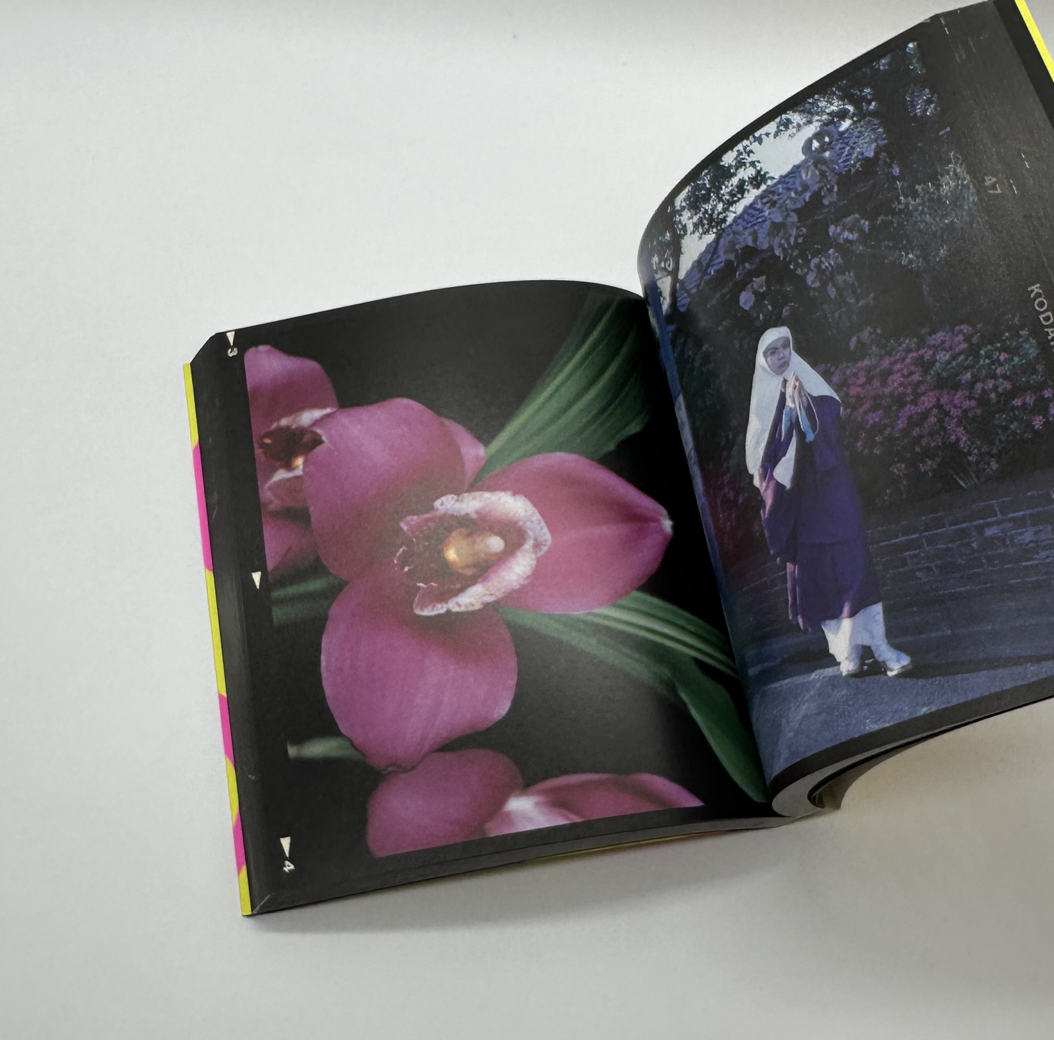 6 X 7 反撃 - 画像 (5)