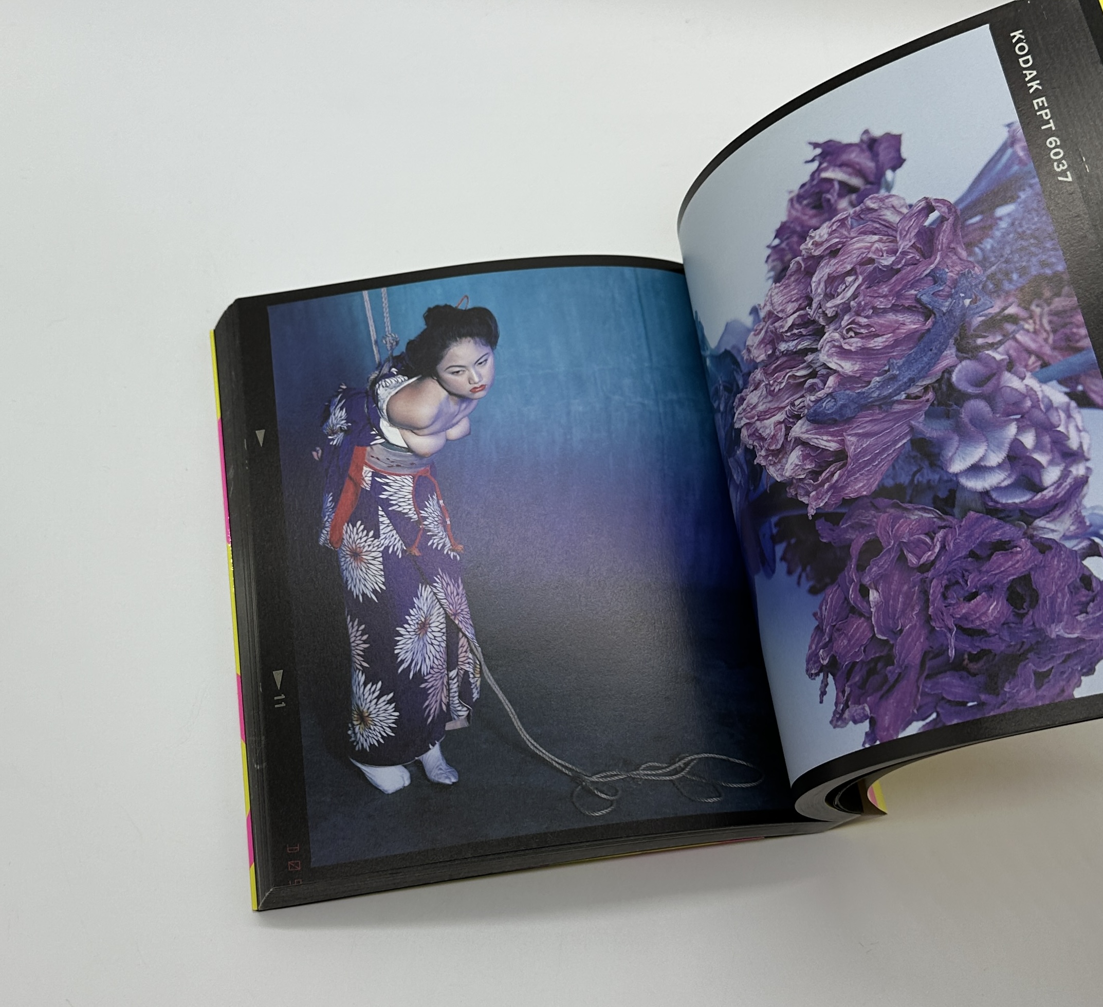 6 X 7 反撃 - りーちあーと