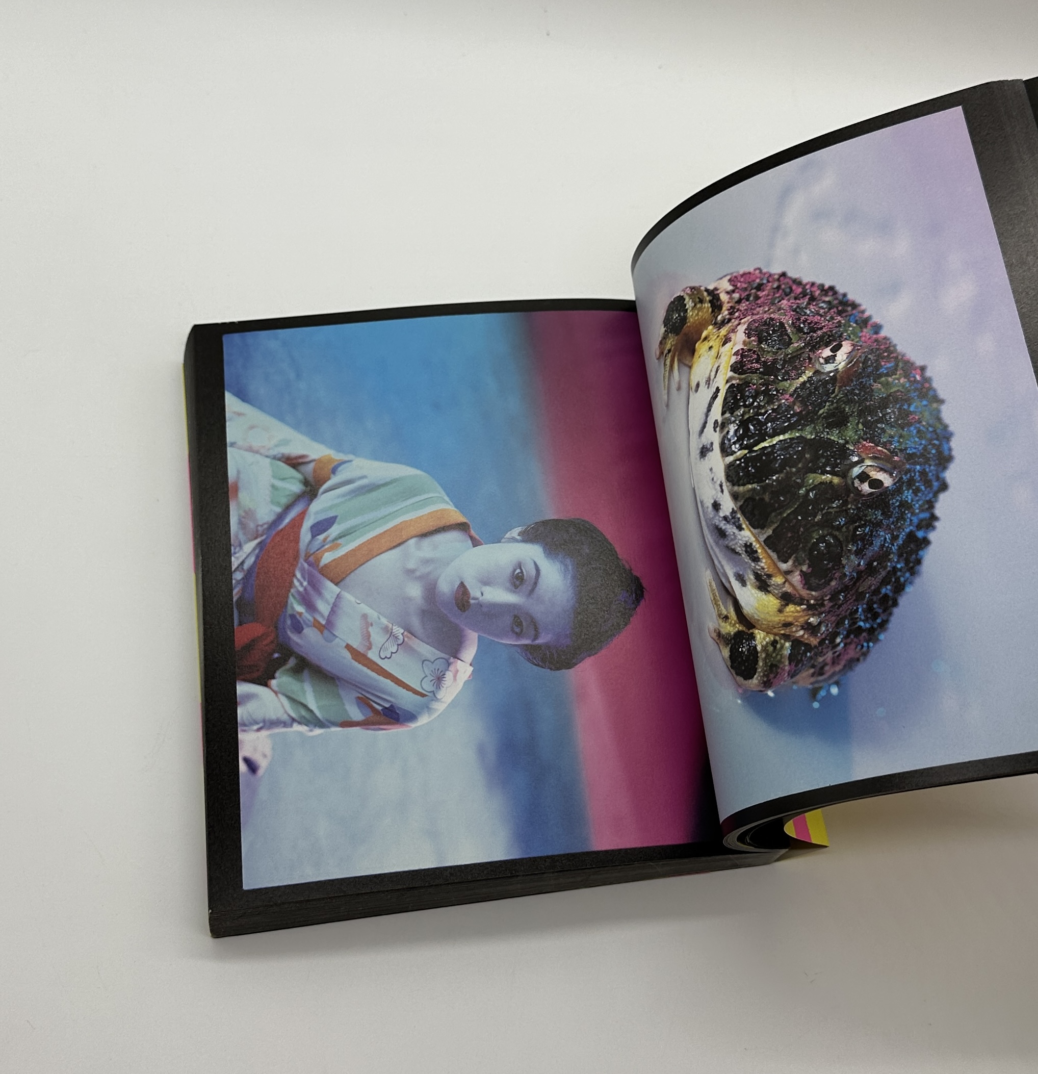 6 X 7 反撃 - りーちあーと