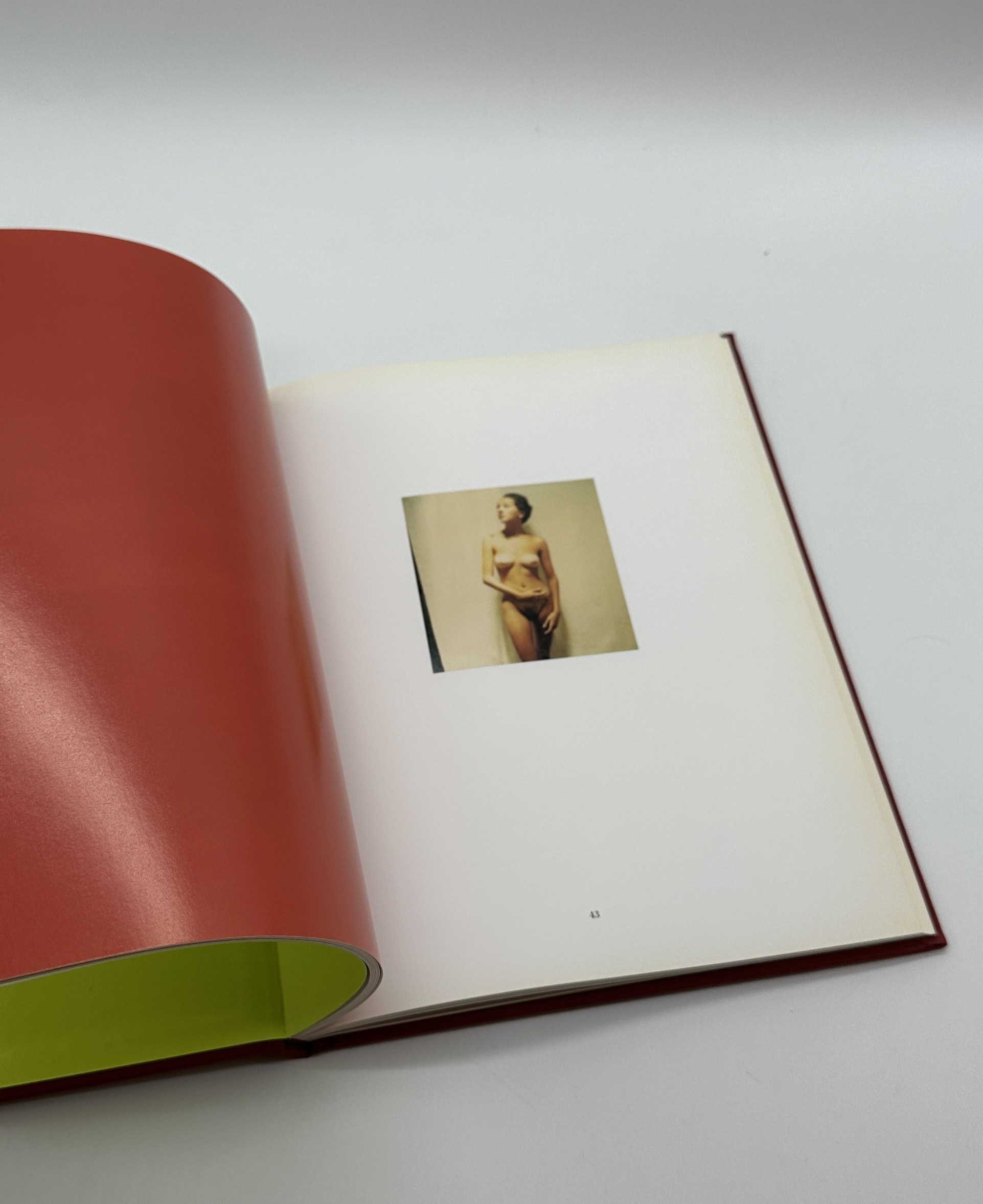 POLAROIDS - 画像 (4)