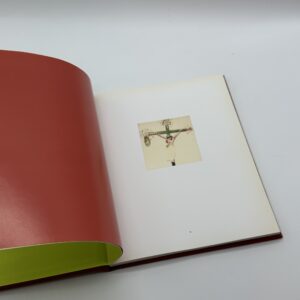 POLAROIDS - 画像 (2)