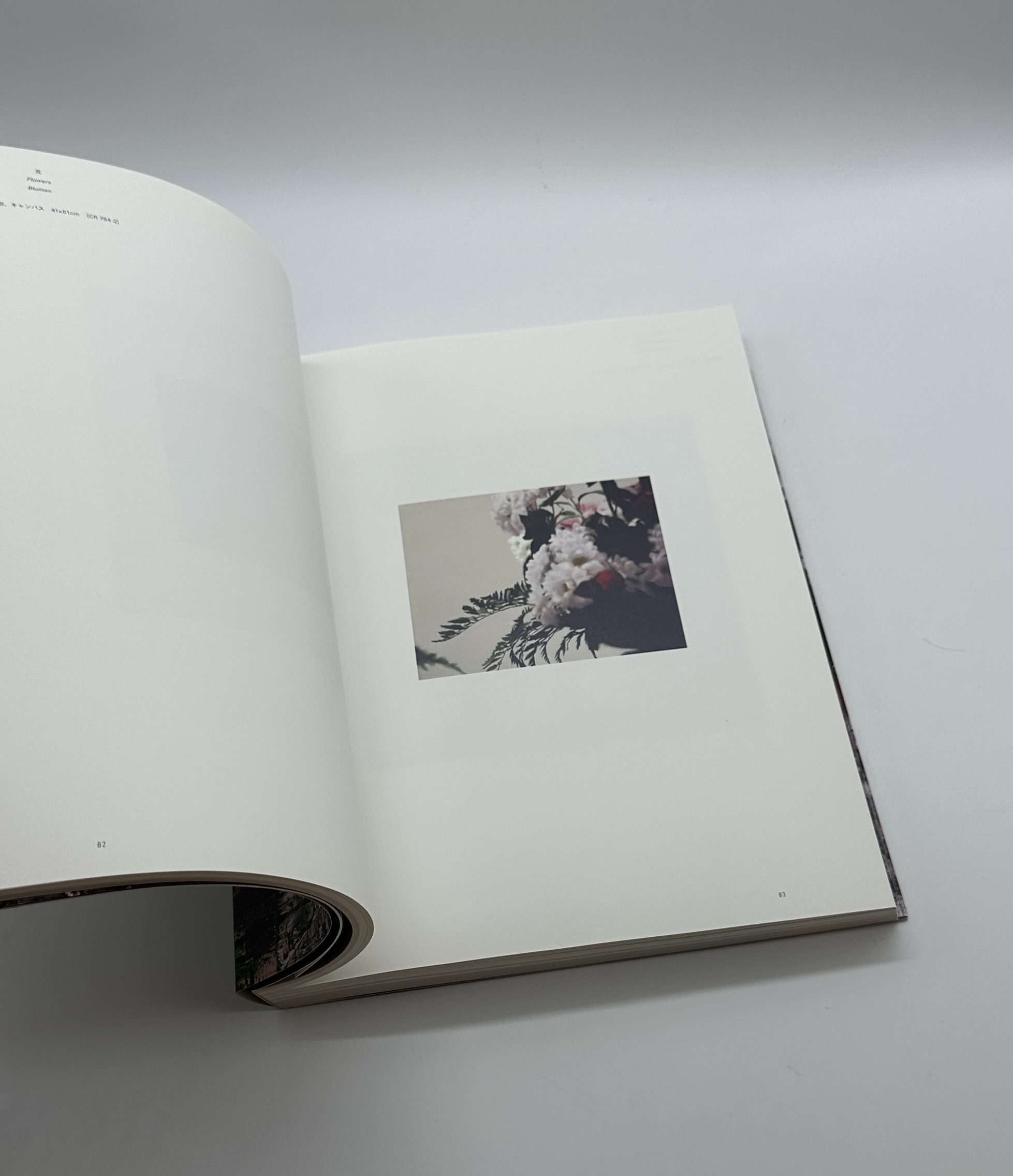 ゲルハルト・リヒター展 - 画像 (5)