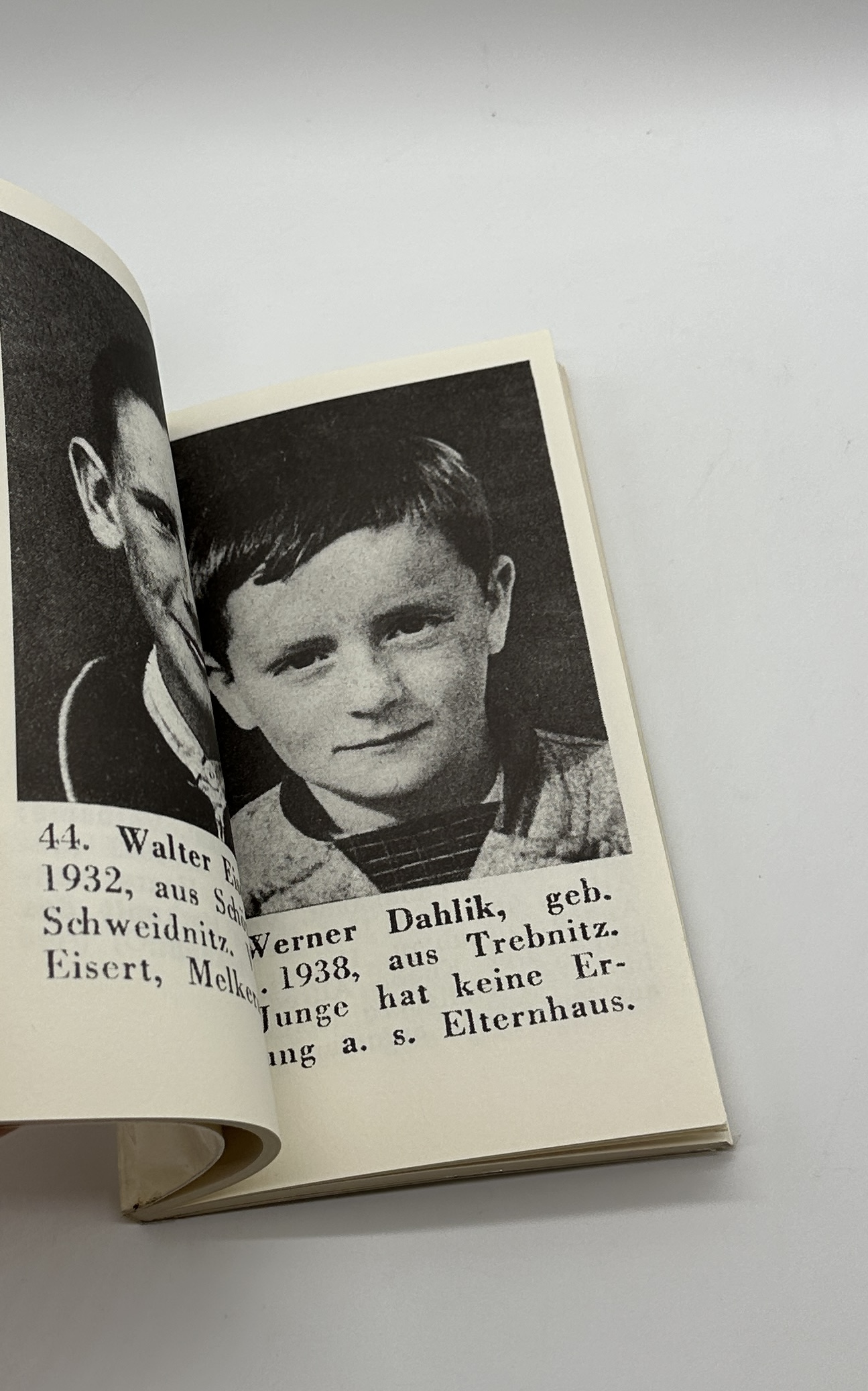 DIESE KINDER SUCHEN IHRE ELTERN - 画像 (4)