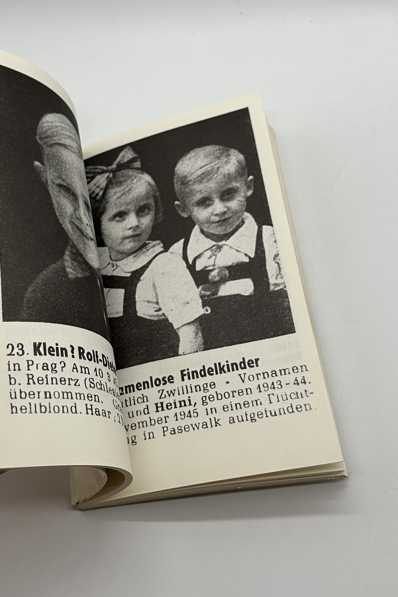 DIESE KINDER SUCHEN IHRE ELTERN - 画像 (3)