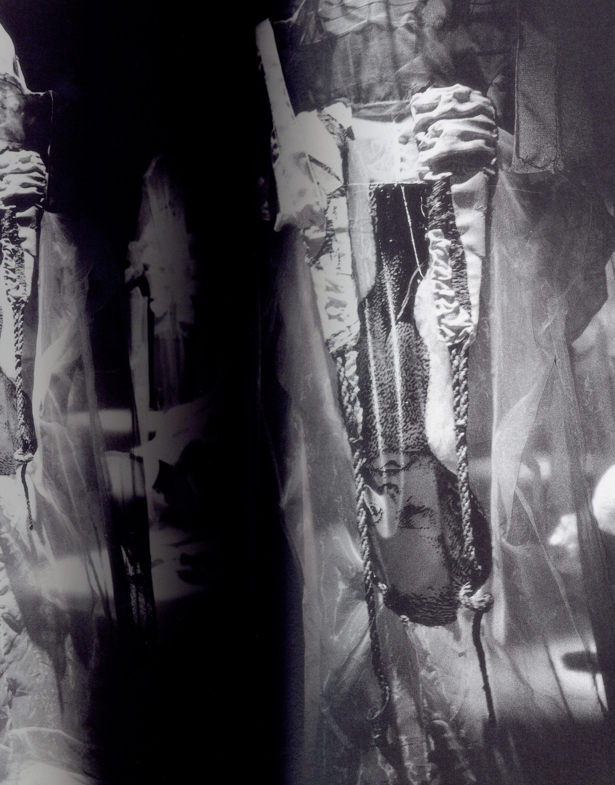 『署名入』彼岸は廻る - 画像 (5)