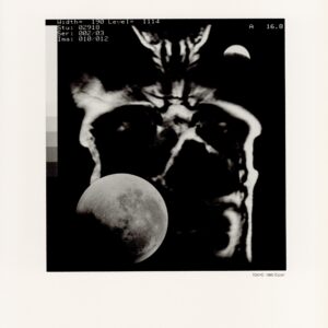 1万5千回の夜の間に - 画像 (4)