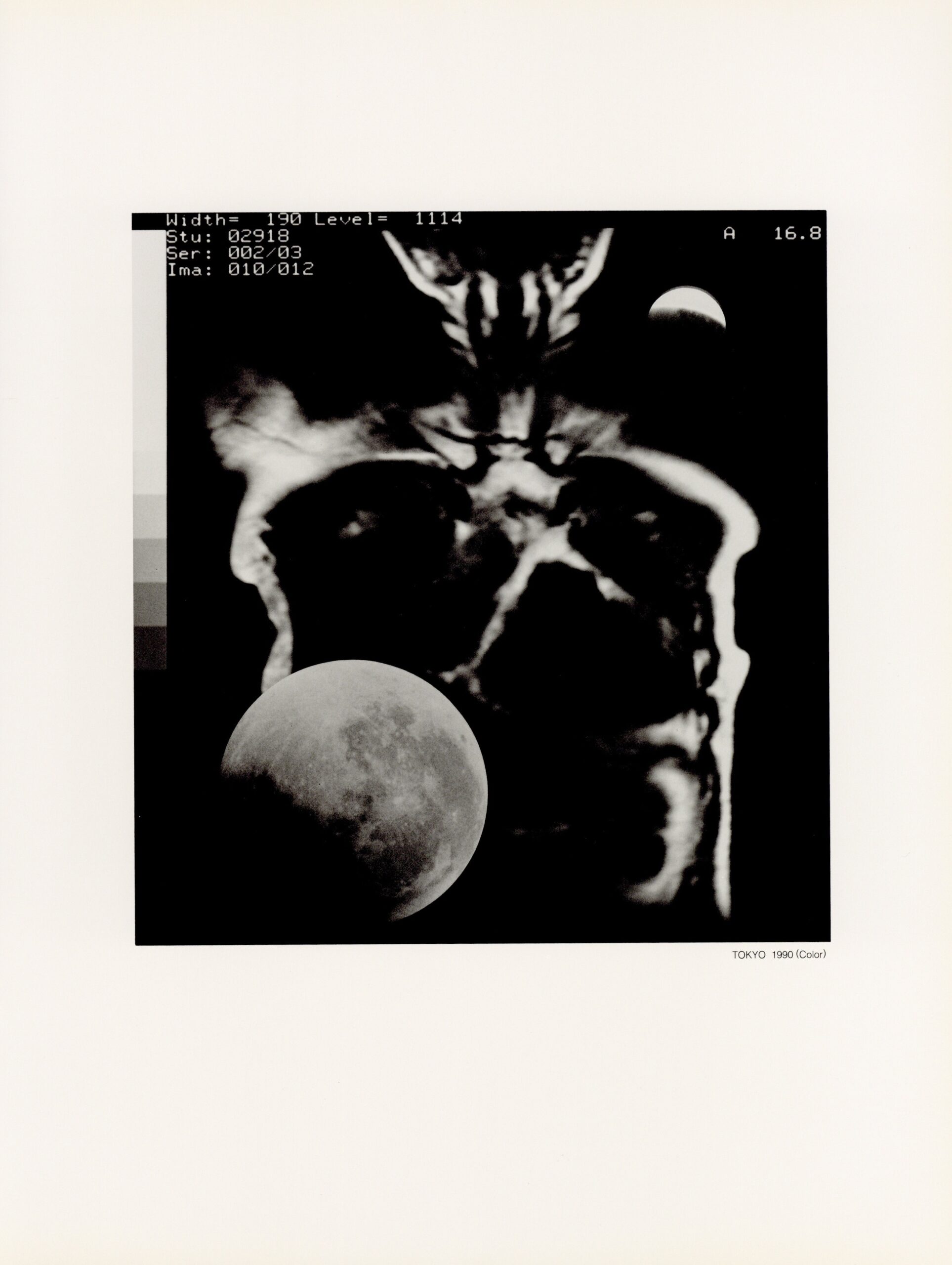 1万5千回の夜の間に - 画像 (4)