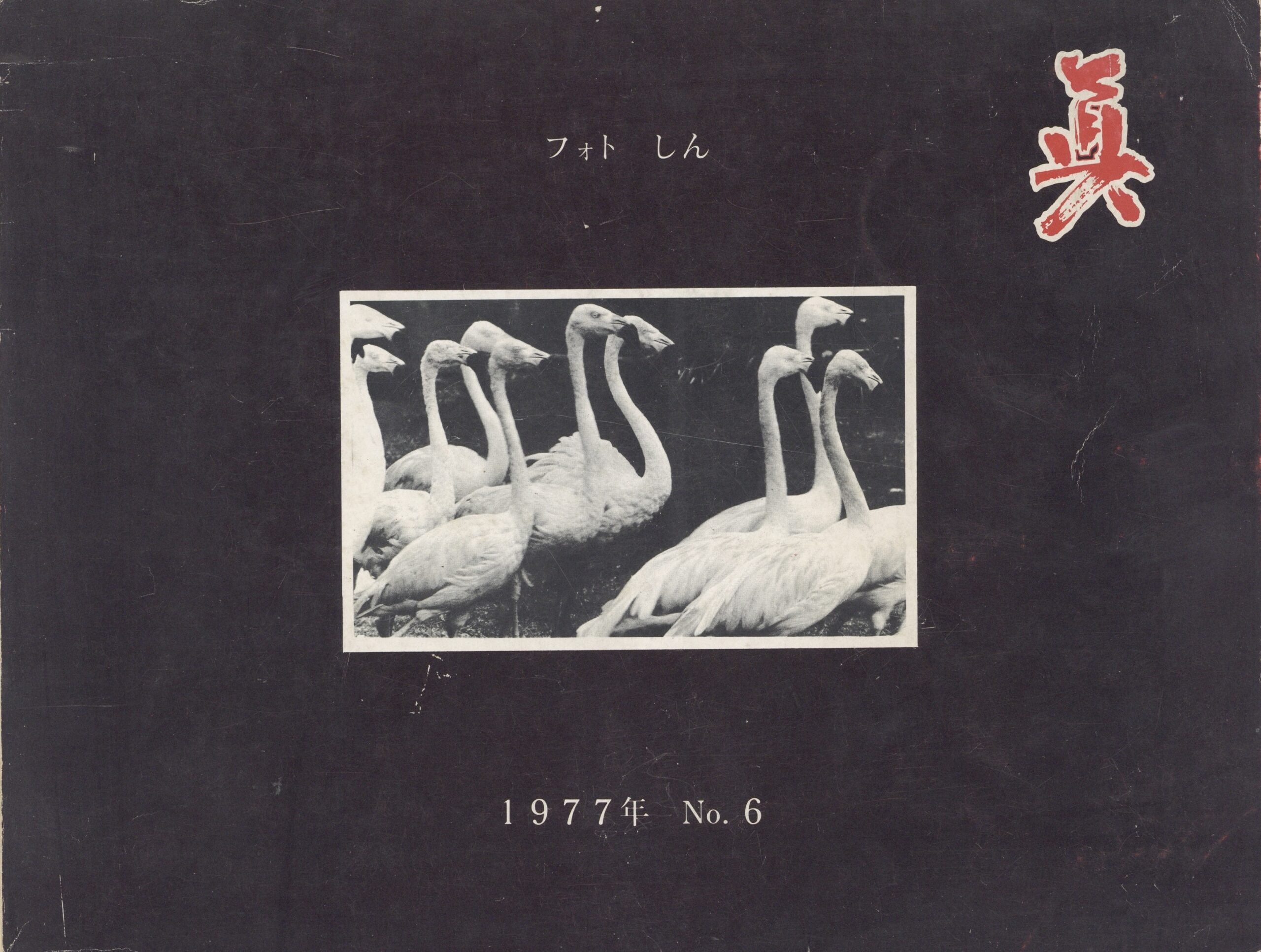 フォト眞　6号 - 画像 (1)