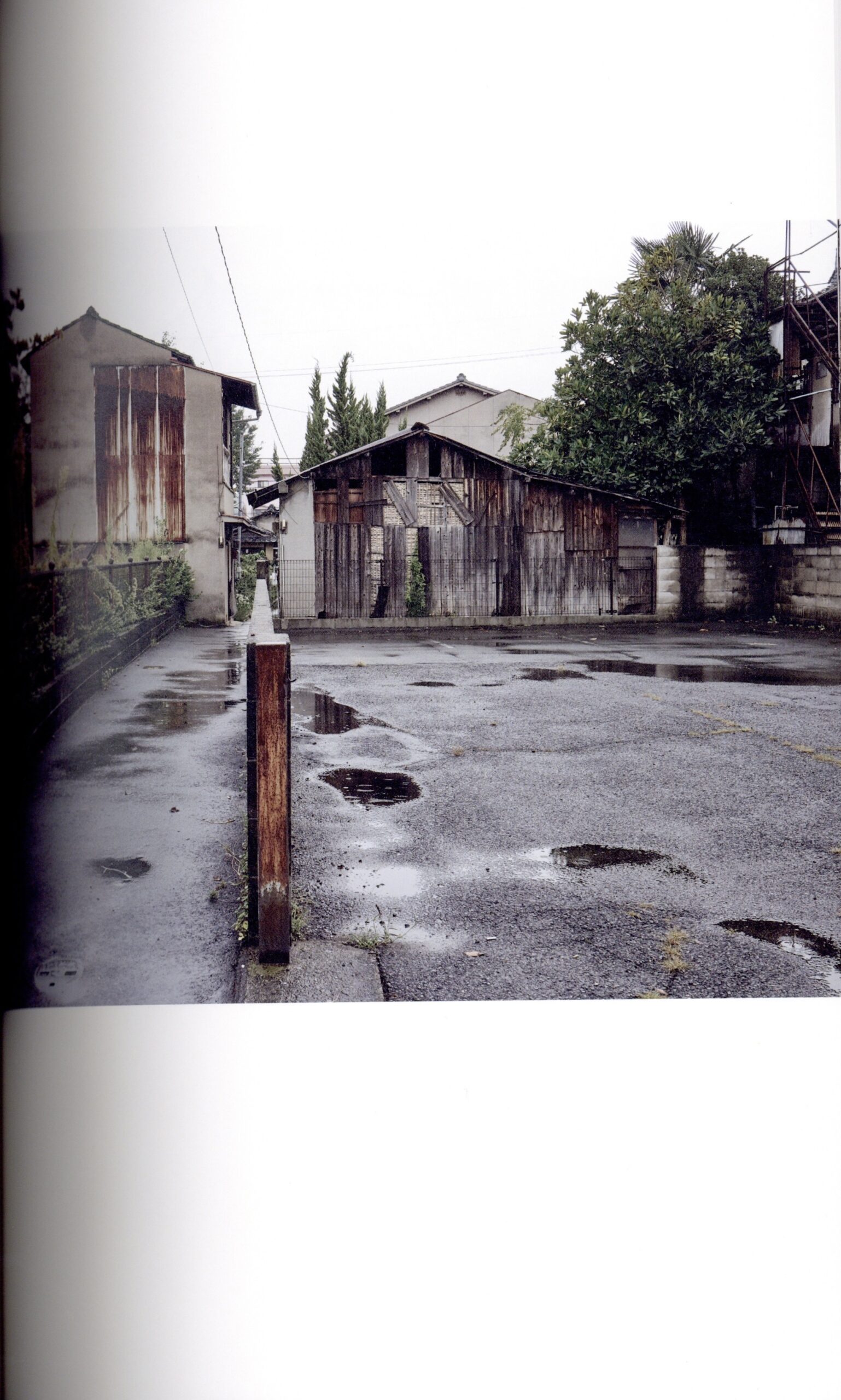 『署名入』PROSPECTS Vol. 2 - 画像 (4)