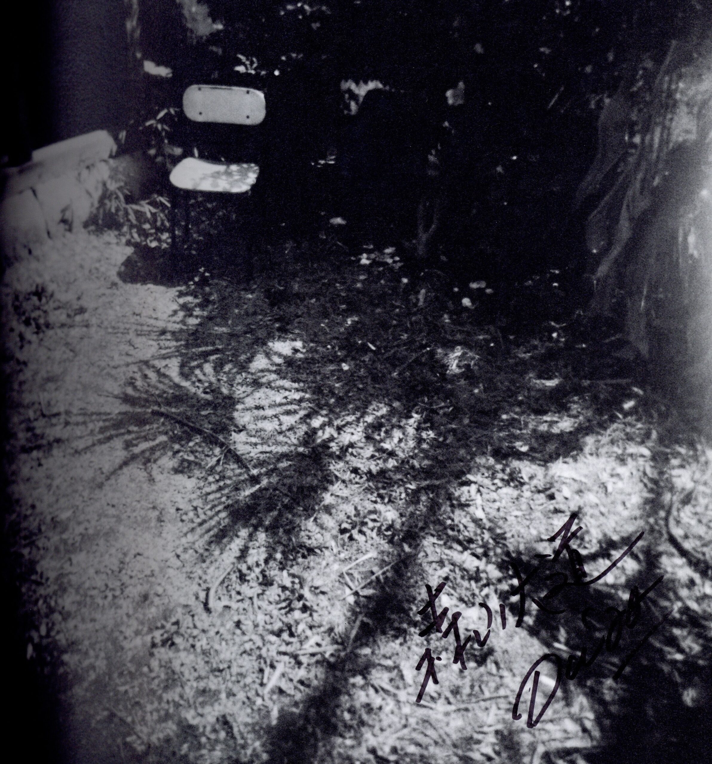 『署名入』t-82 - 画像 (2)