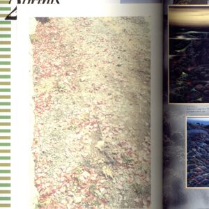 プリンツ21　森山大道 - 画像 (2)