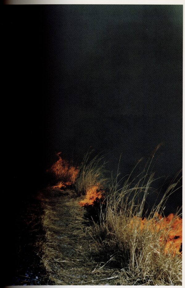 照度　あめつち　影を見る