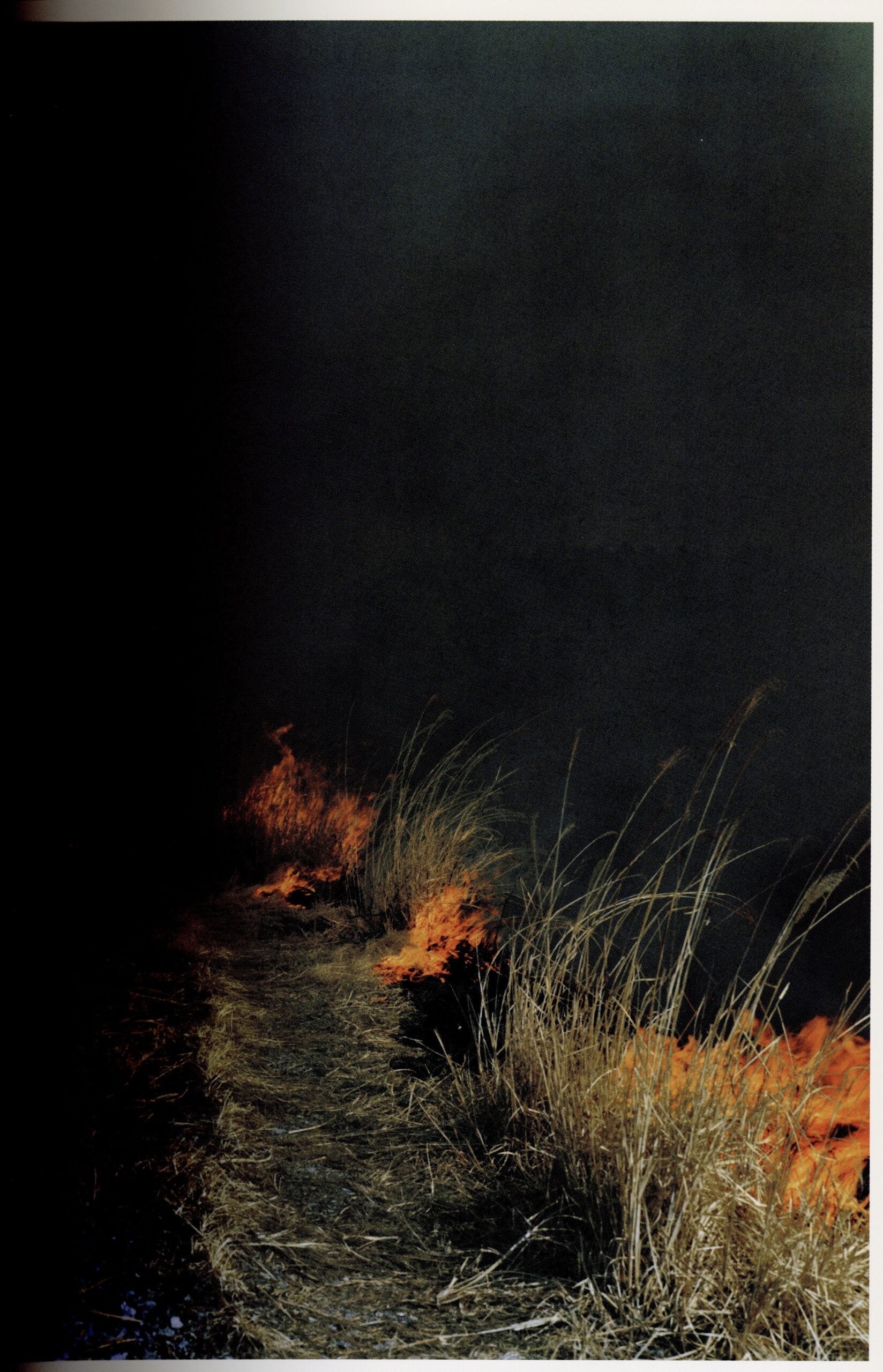 照度　あめつち　影を見る - 画像 (2)