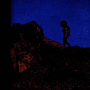 篠山紀信と28人のおんなたち nude　２冊揃 - 画像 (7)