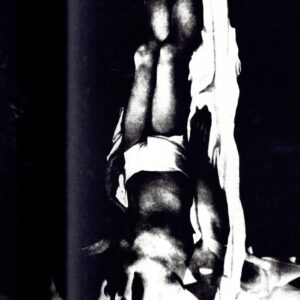 薔薇刑　新版 - 画像 (3)