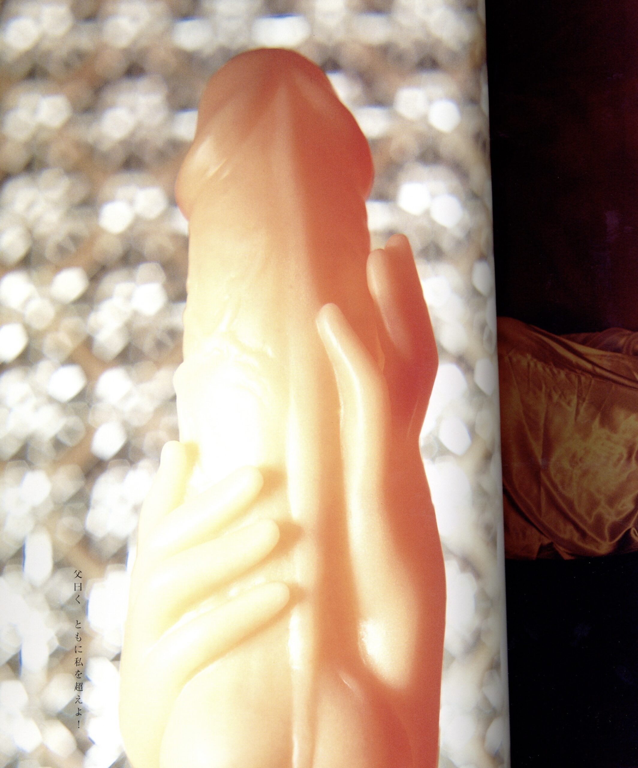 写真時代 INTERNATIONAL 1 - 画像 (4)