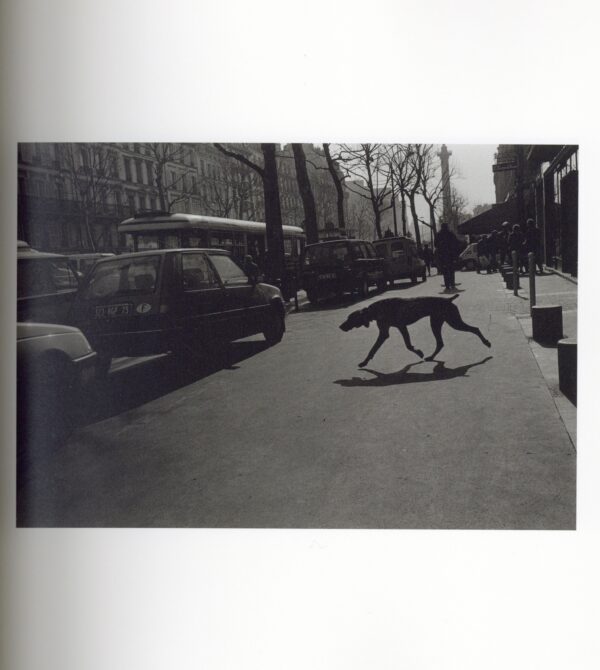 『署名入』The Dog in France