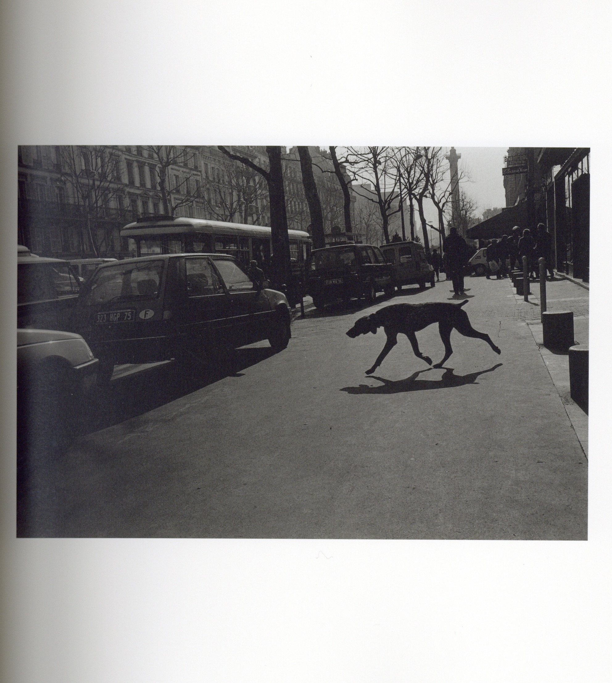 『署名入』The Dog in France - 画像 (3)