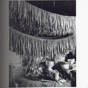 『署名入』トオヌップ - 画像 (3)