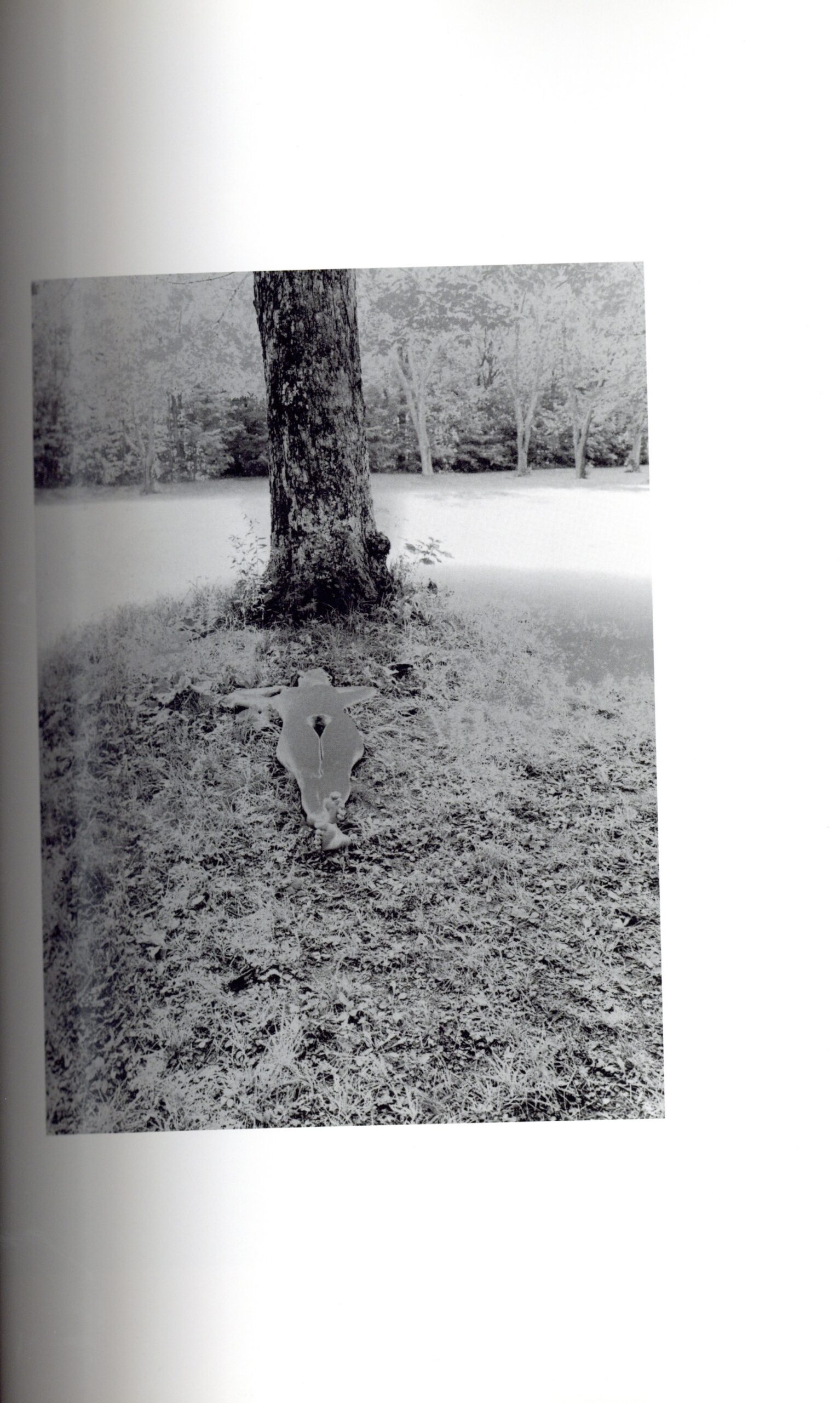 『署名入』ルナ・ロッサ　妖精物語 - 画像 (4)