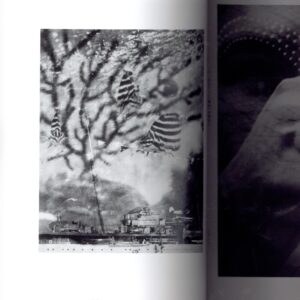 安井仲治作品集 - 画像 (3)