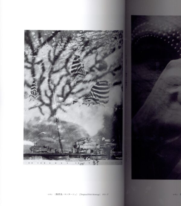 安井仲治作品集