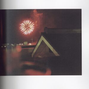 『署名入』DRAGONFLY - 画像 (4)