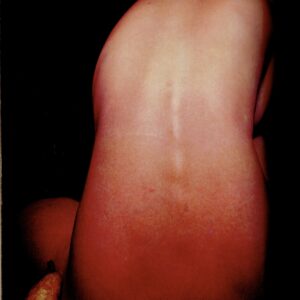 篠山紀信と28人のおんなたち nude　２冊揃 - 画像 (4)