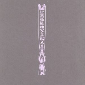 建築紅花青鳥図 - 画像 (3)