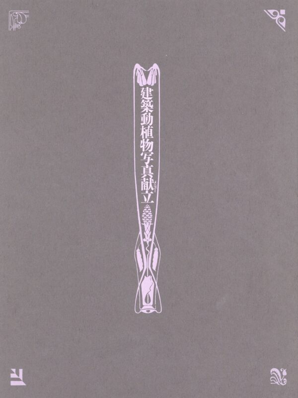 建築紅花青鳥図