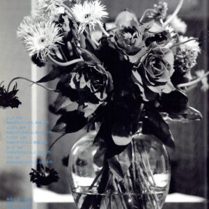 裸写　Vol. 1 - 画像 (4)