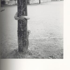 写真とボク - 画像 (4)