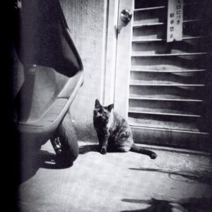 『署名入』t-82 - 画像 (3)