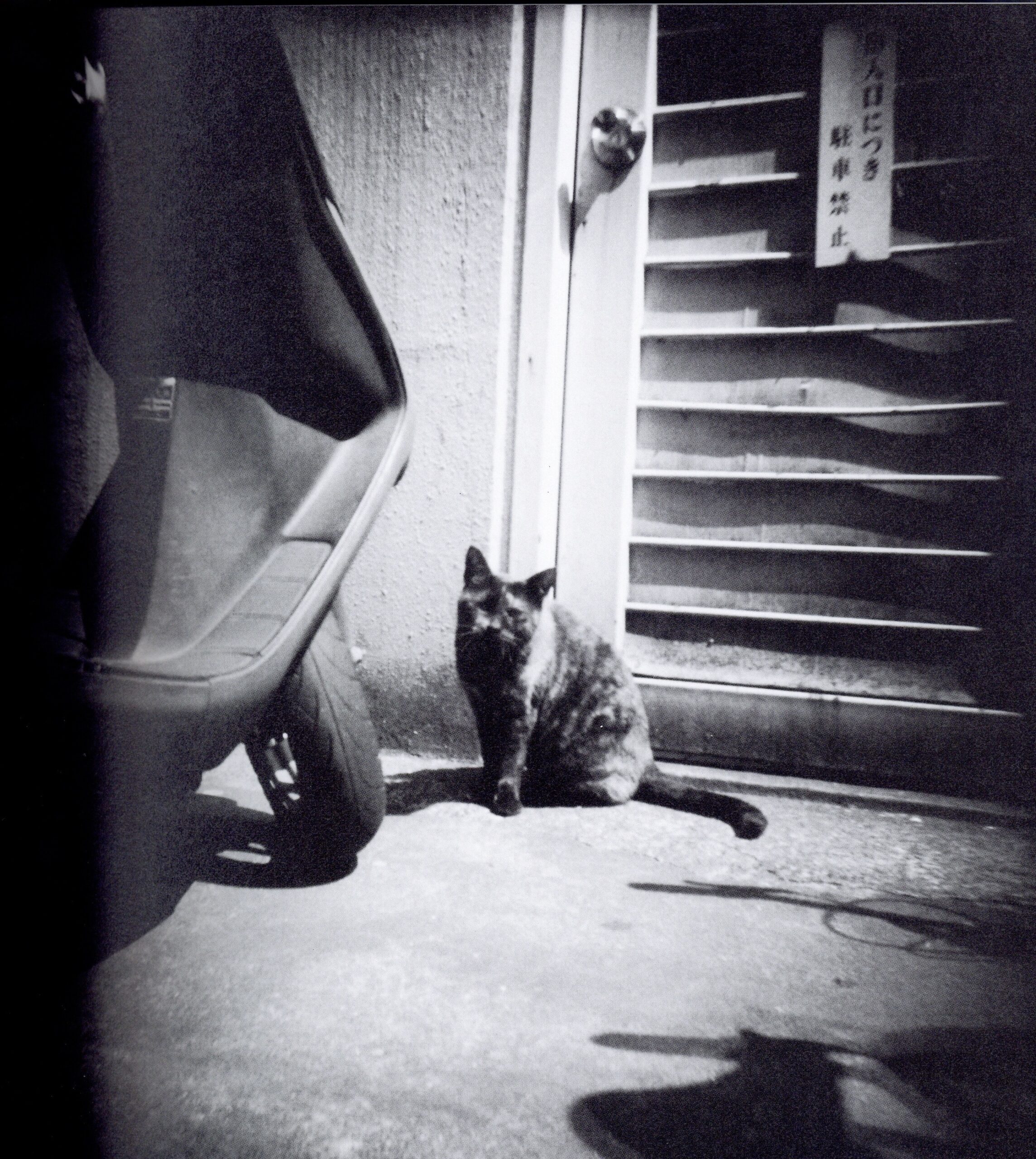 『署名入』t-82 - 画像 (3)