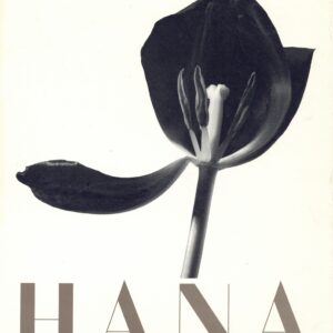 HANA - 画像 (1)