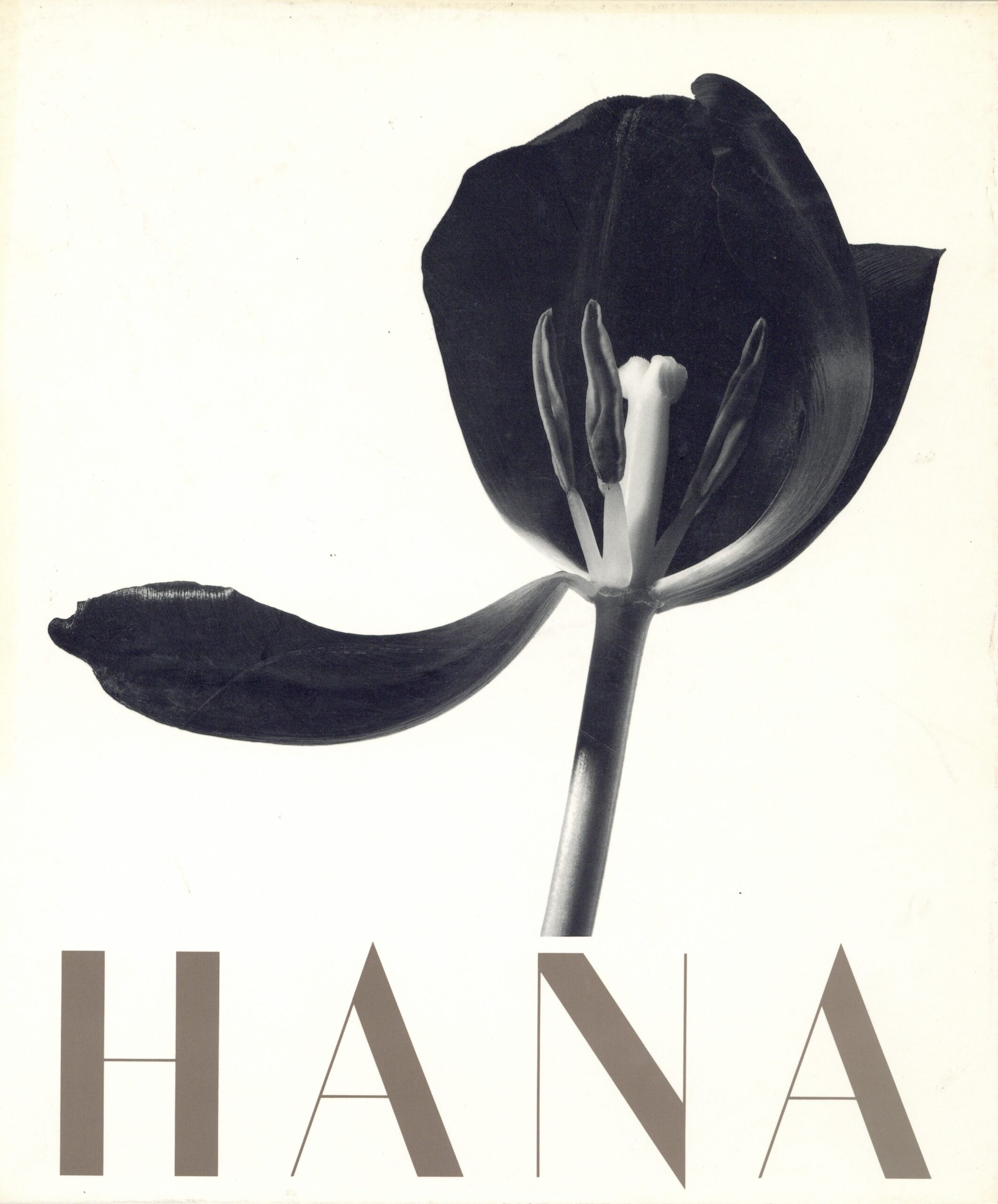 HANA - 画像 (1)