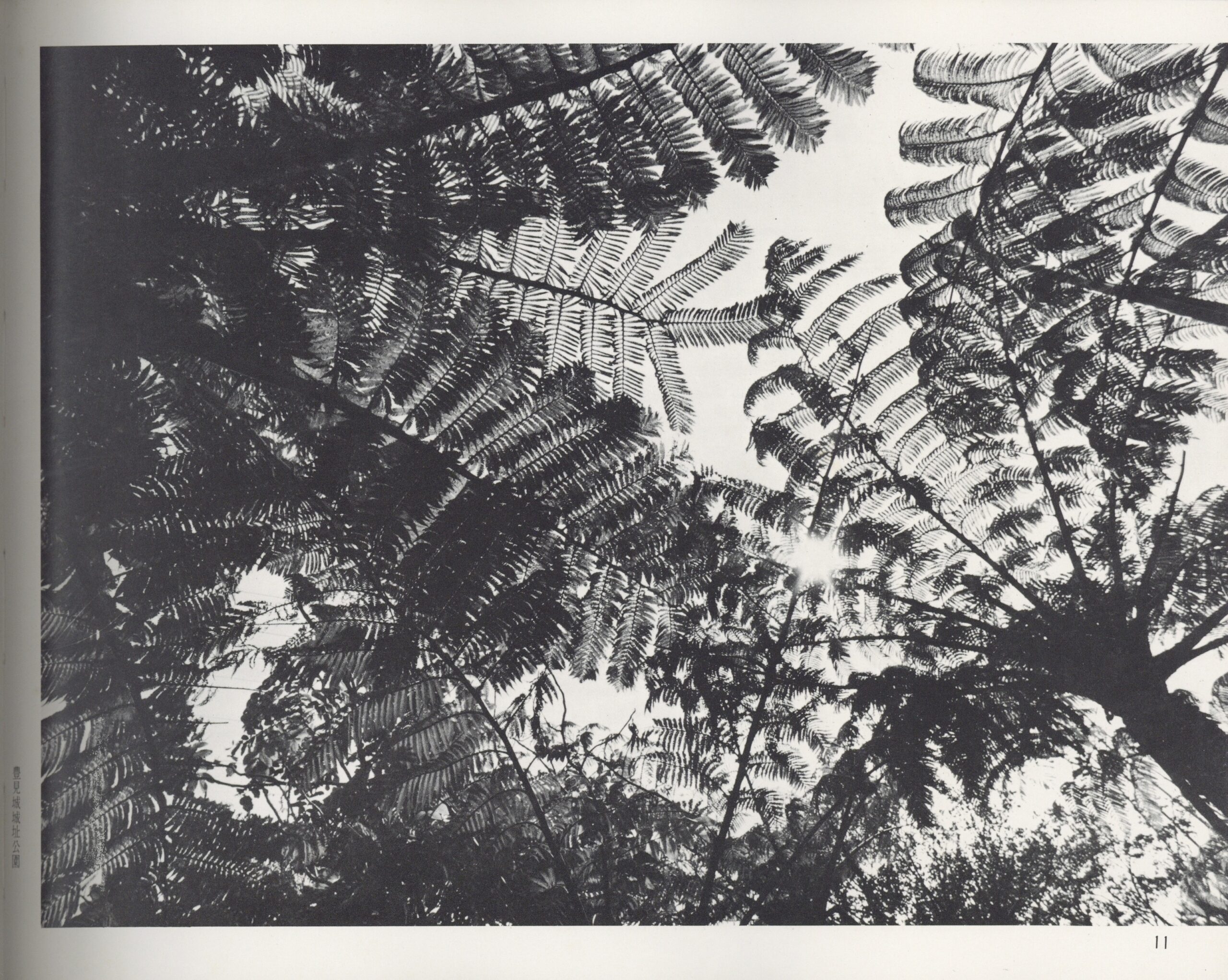 フォト眞　7号 - 画像 (3)