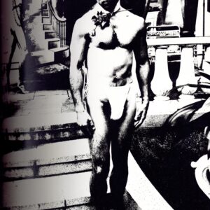 薔薇刑　新版 - 画像 (2)