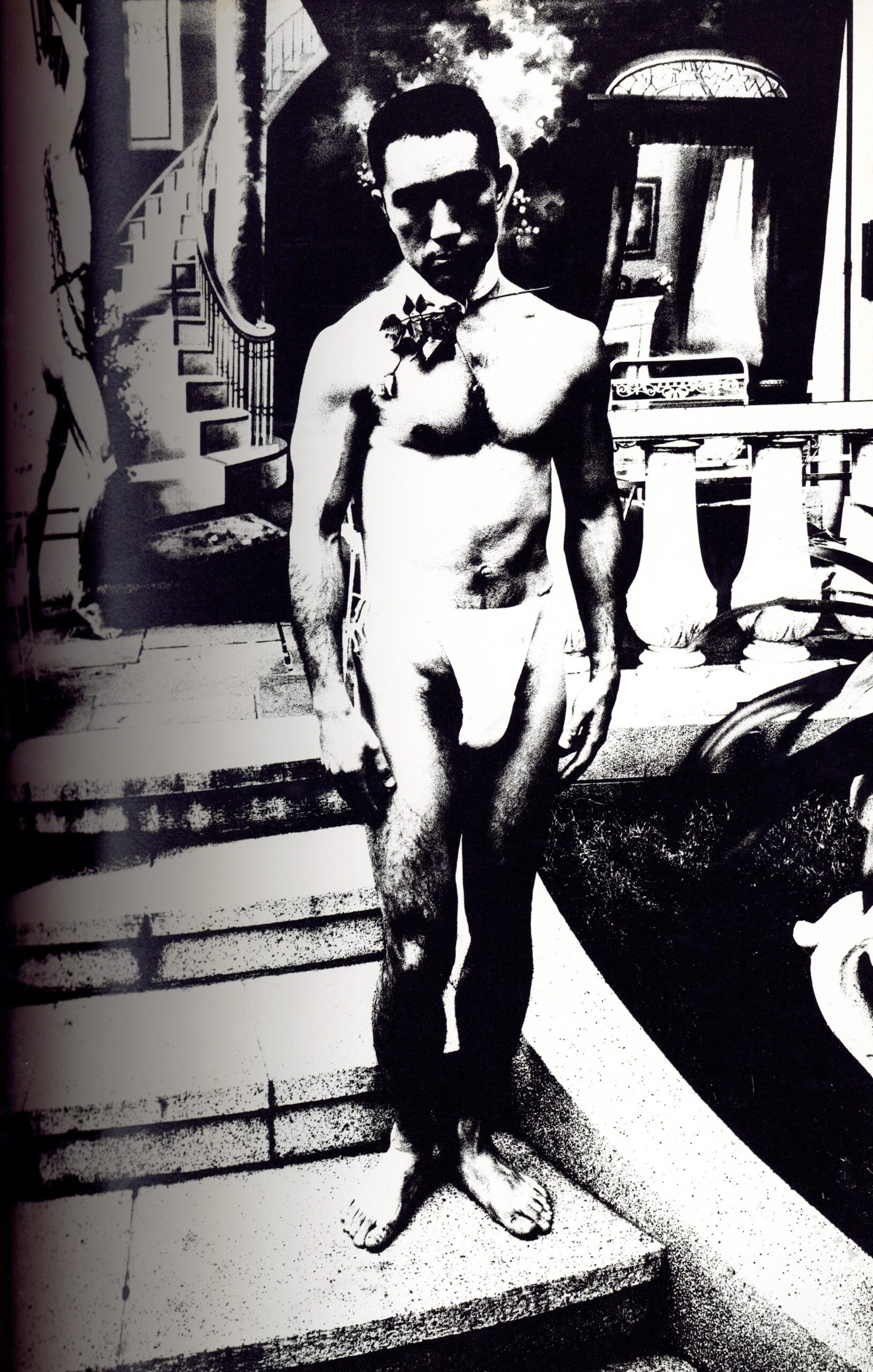 薔薇刑　新版 - 画像 (2)