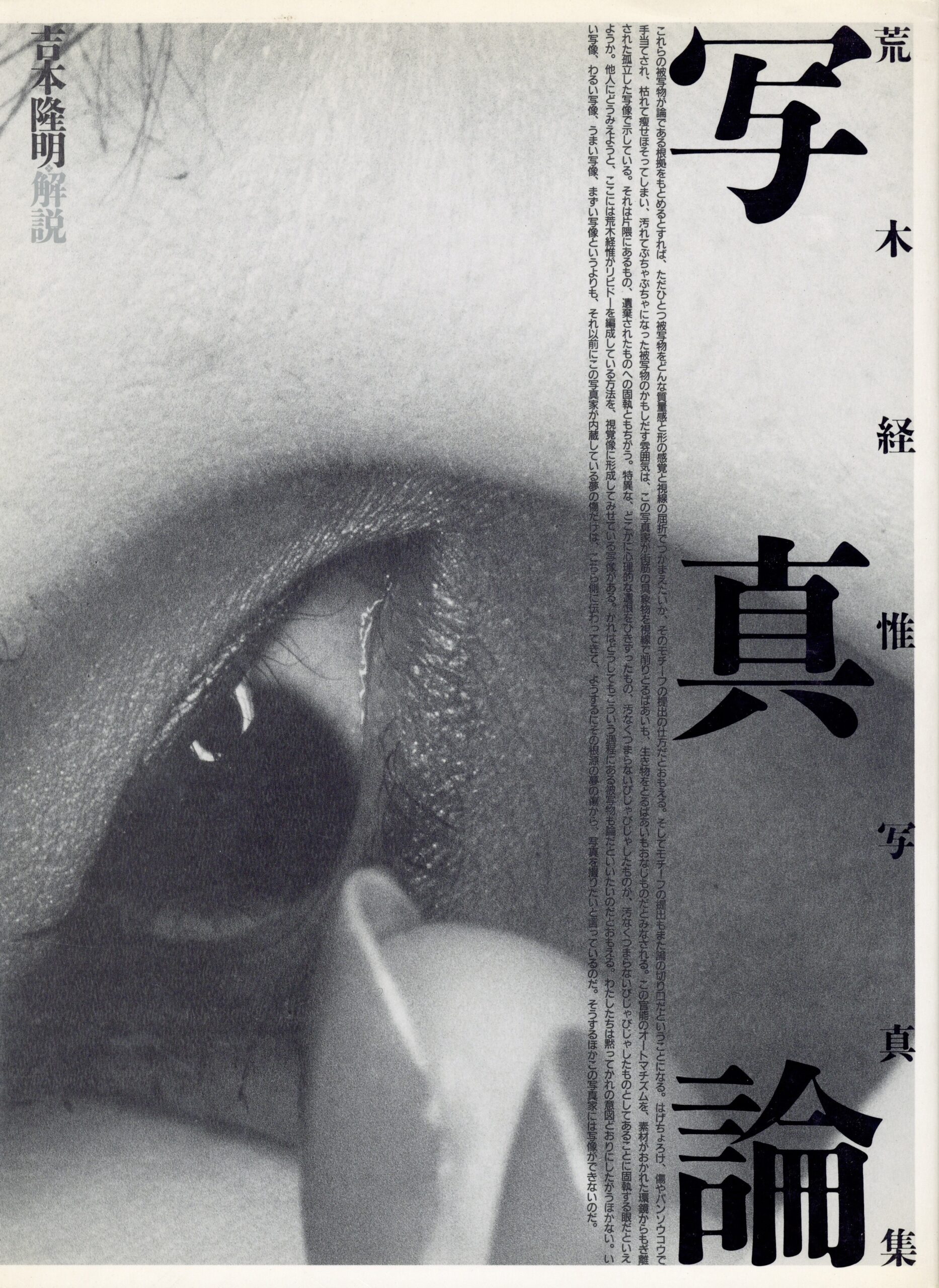 『署名入』写真論 - 画像 (1)