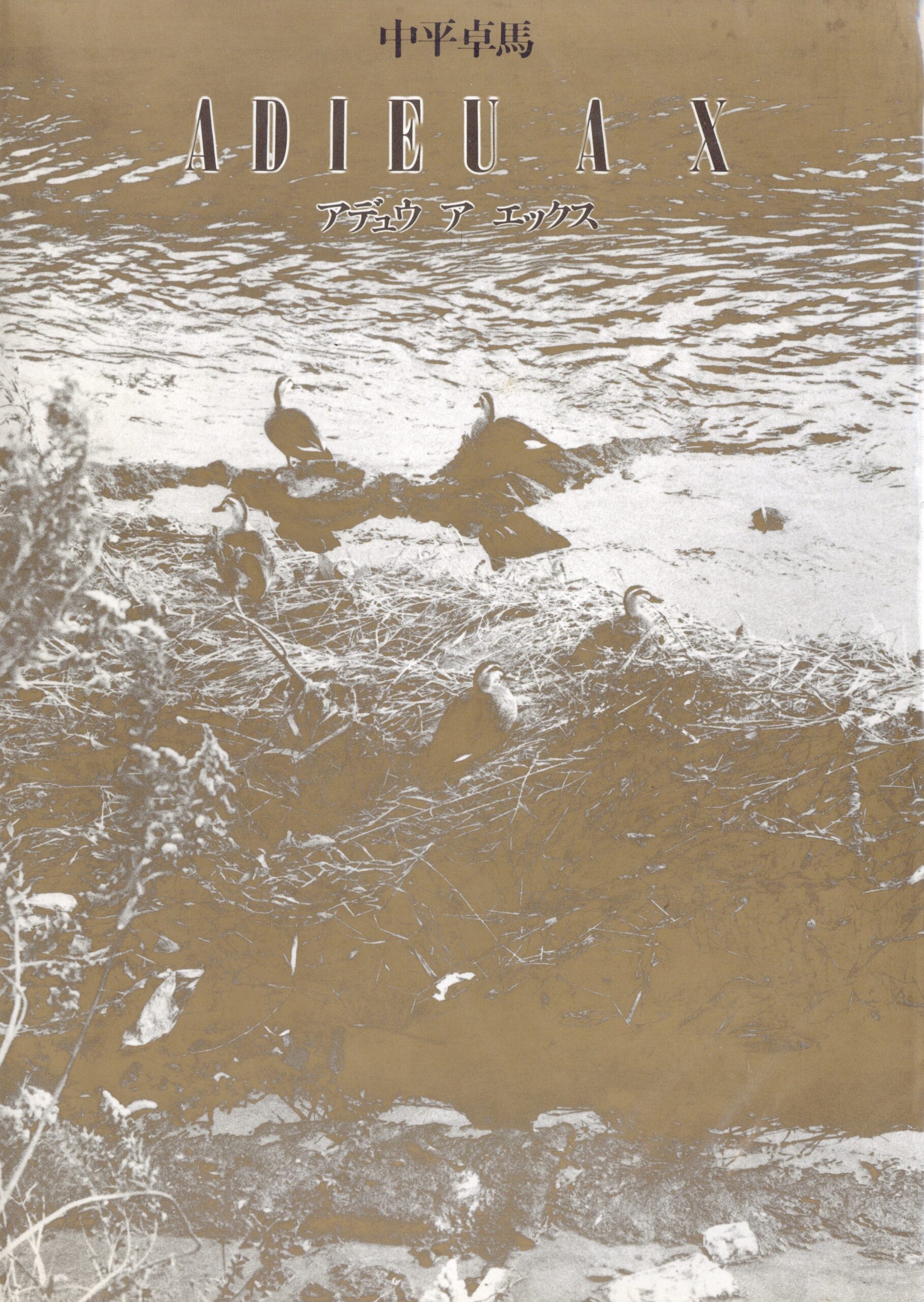 ADIEU A X - 画像 (1)