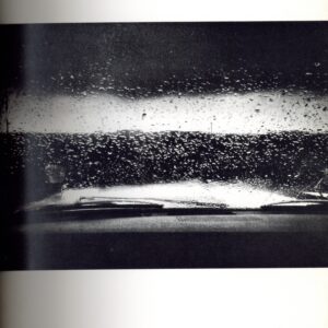 狩人　映像の現代10 - 画像 (2)