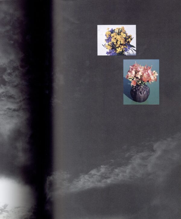 プリンツ21　アラーキー