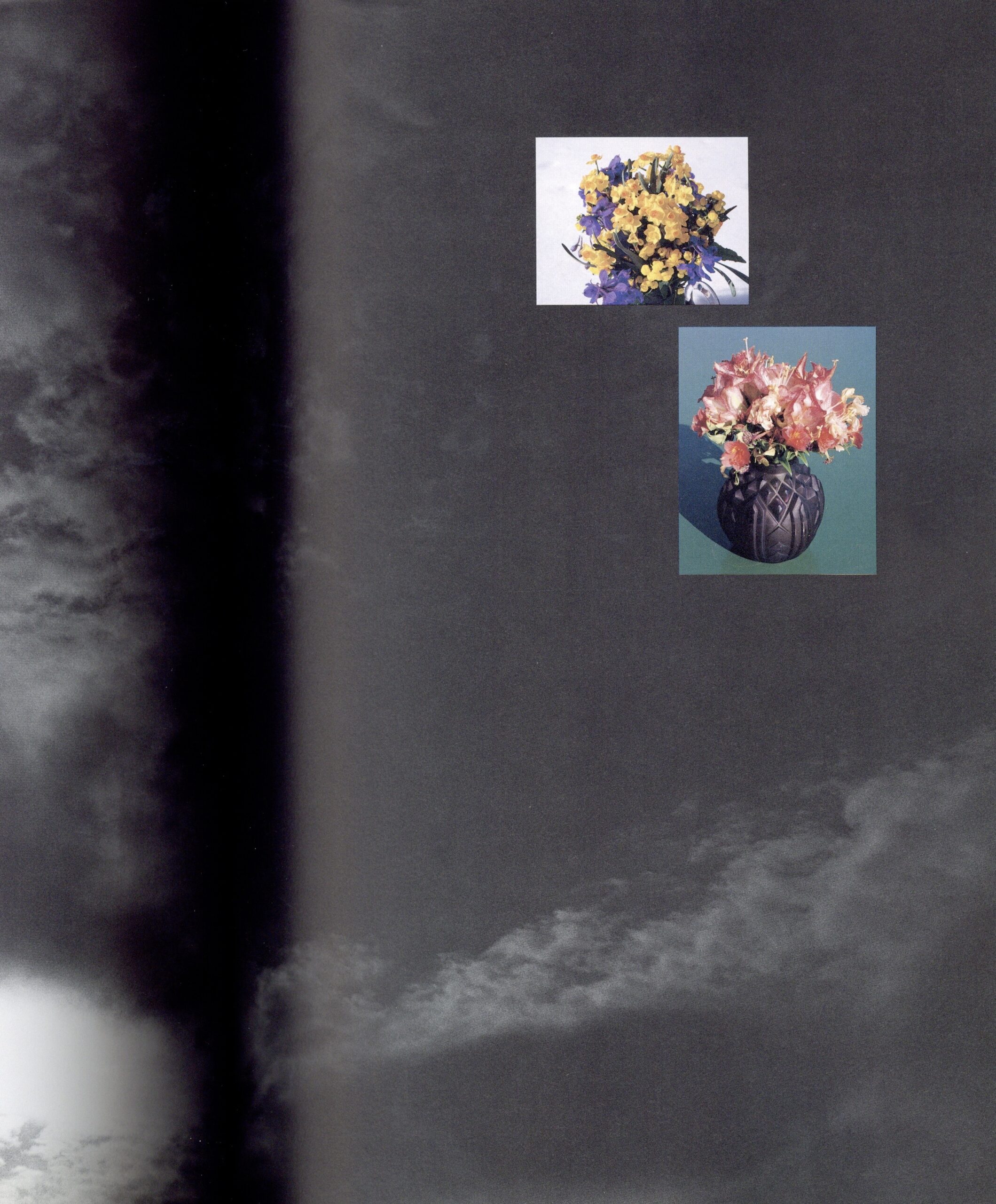 プリンツ21　アラーキー - 画像 (3)