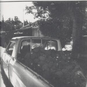 S.I.N　3号 - 画像 (4)