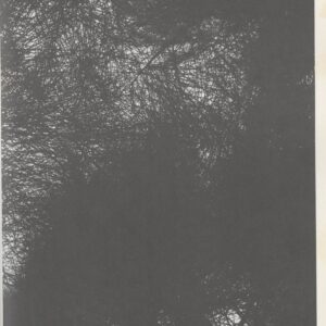 朱もどろの華 沖縄日記 - 画像 (4)