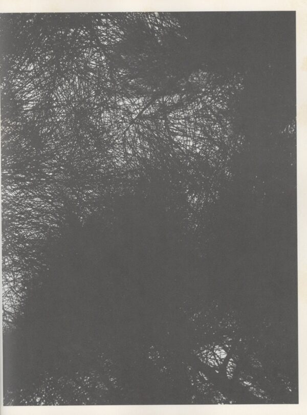 朱もどろの華 沖縄日記