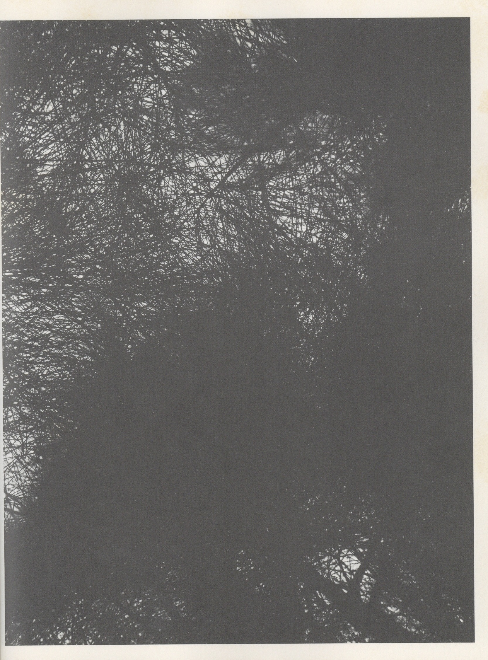 朱もどろの華 沖縄日記 - 画像 (4)