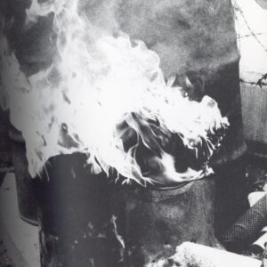 ADIEU A X - 画像 (4)