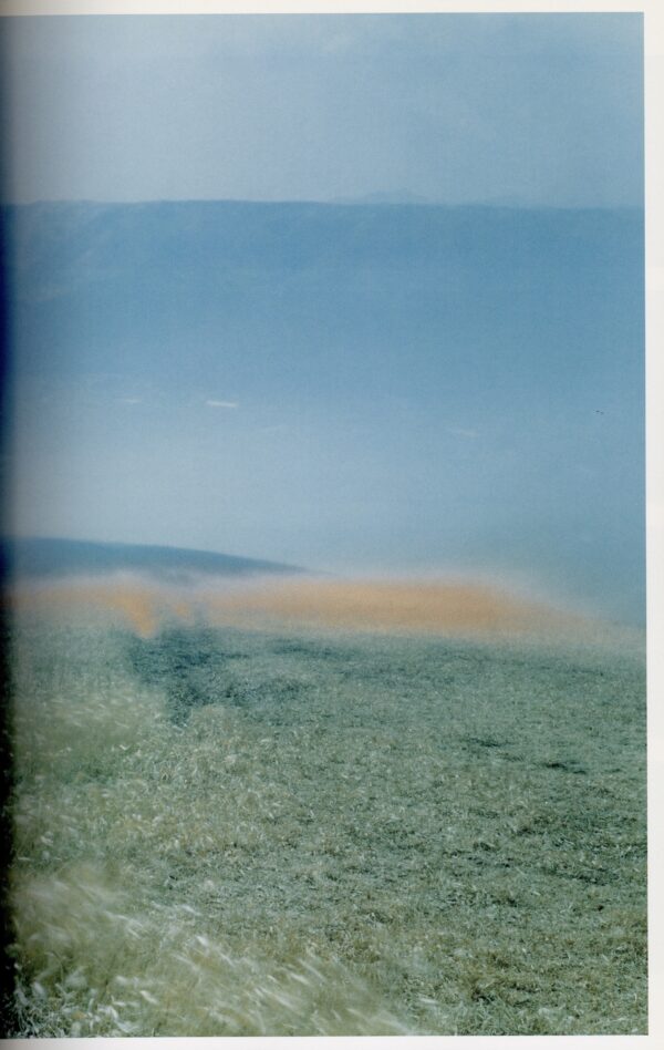 照度　あめつち　影を見る